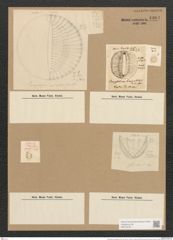 Campylodiscus biangulatus Grev. (de-Toni-Nr.: Genus 57, Species 2438) Zeichnungen Sammlung Grunow Nr. 4904 (NHMW-BOT-W0373104)